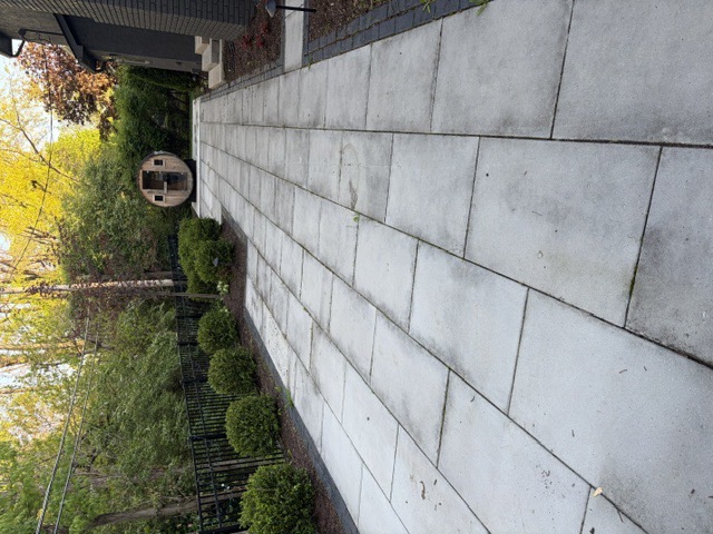 Before: a large stone-slab walkway with dark organic staining streaking the surface